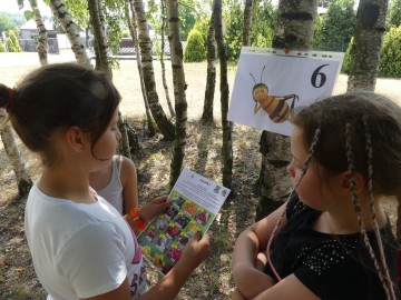 Gra terenowa 'Poznaj pszczele tajemnice' w GPCKiE w Plichtowie 2019, 